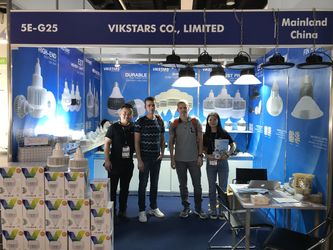 Vikstars Co., Limited خط تولید تولید کننده